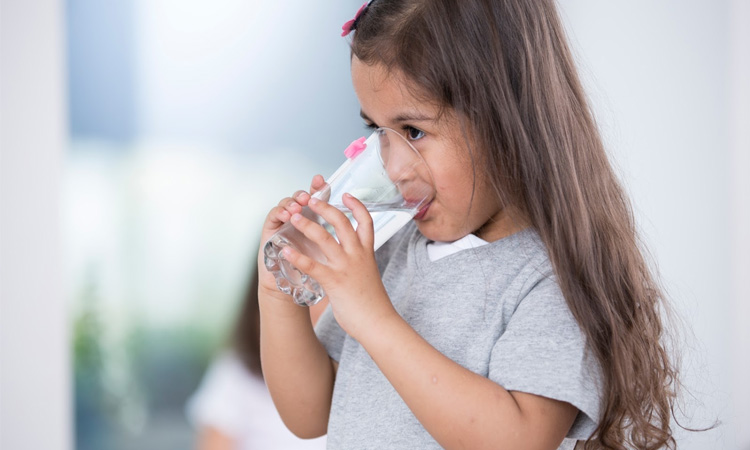 Bebê e Tal - alimentação da família - beber água sempre  