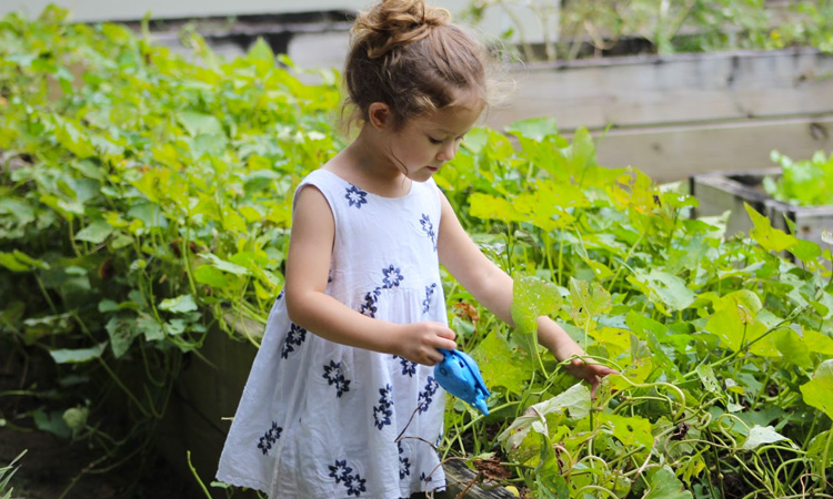 plantar e cultivar meio ambiente bebê e tal