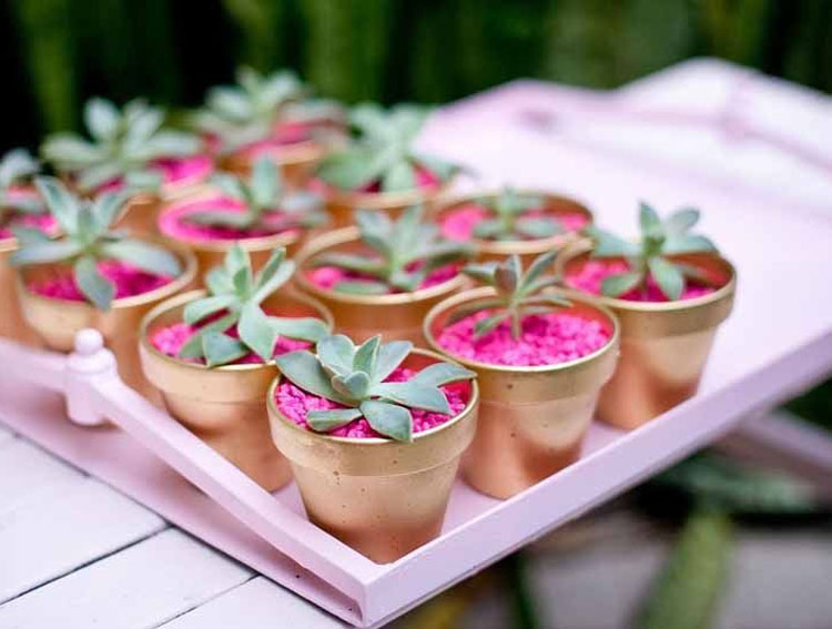 vasos de planta lembrancinhas de aniversário bebê e tal