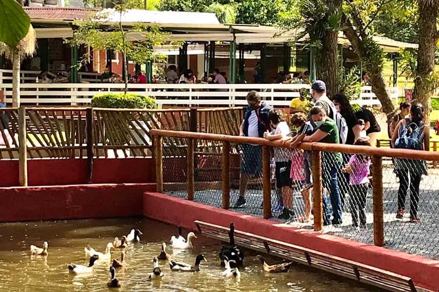 Fazendinhas perto de São Paulo - Cia dos Bichos