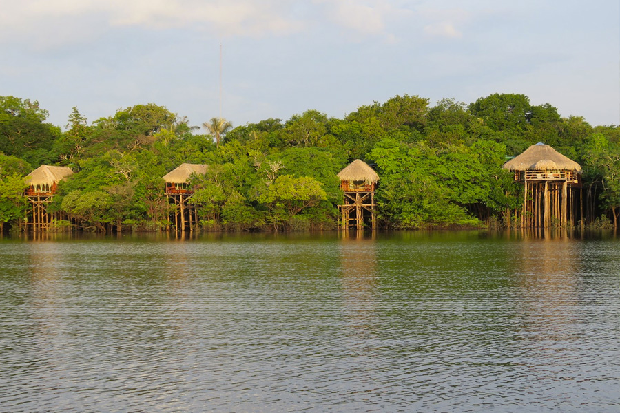 juma amazon lodge viagem em família bebê e tal