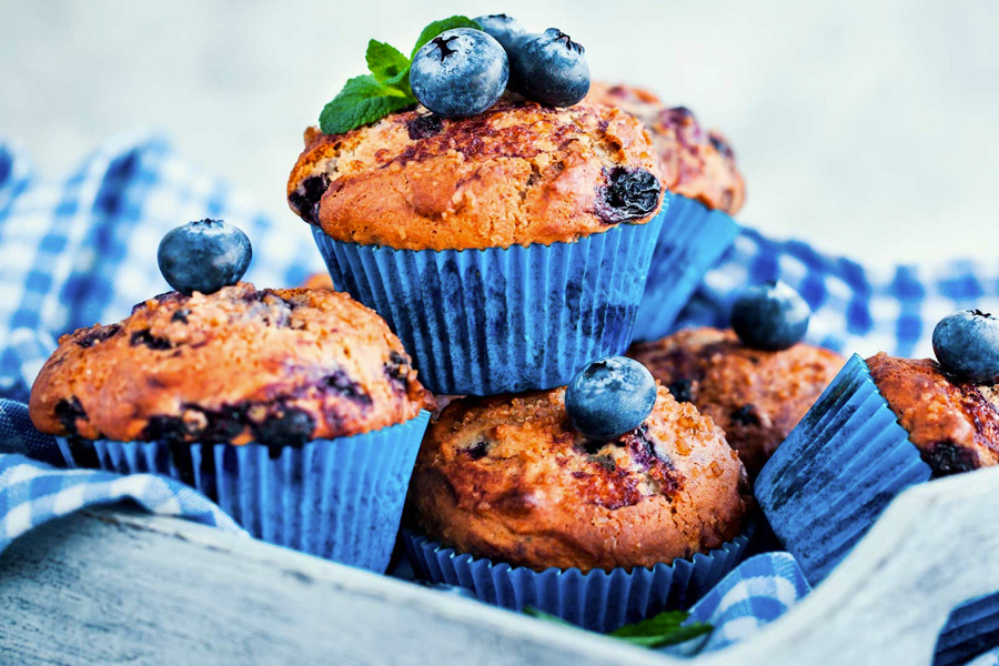 muffin de coco e mirtilos receitas sem lactose bebê e tal