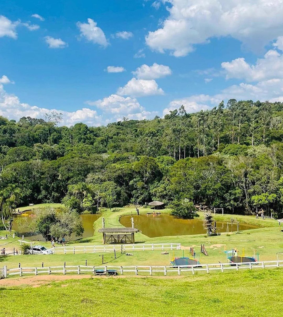 parque della vittoria passeios bate e volta em São Paulo bebê e tal